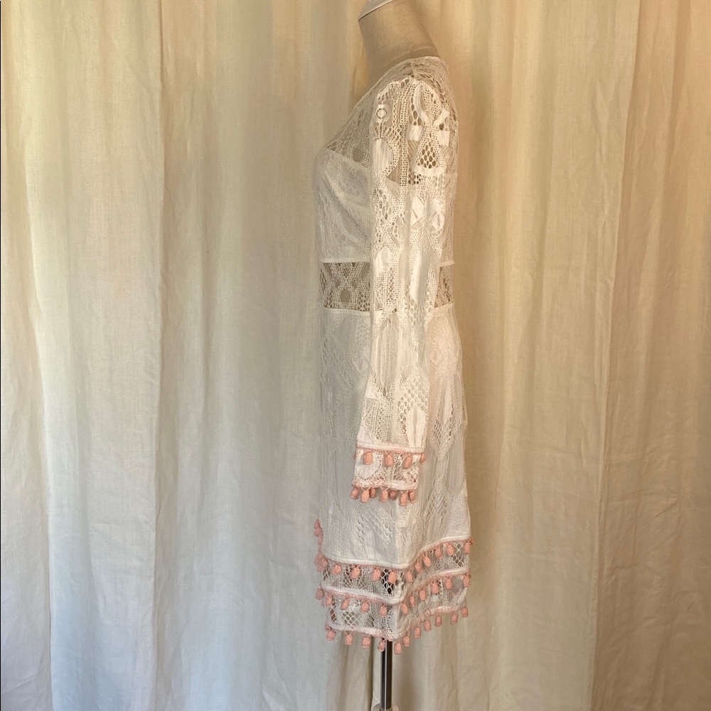 Venus Lace Dress - Picture 5 of 8